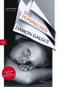 Cover-Bild zum Titel 'Das Versprechen' von 'Damon Galgut'