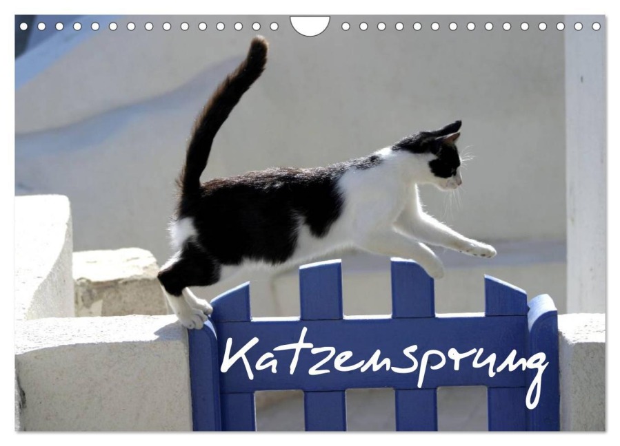 Katzensprung (Wandkalender 2026 DIN A4 quer), CALVENDO Monatskalender - Alexandra Loos - Www. Shabbyflair. De