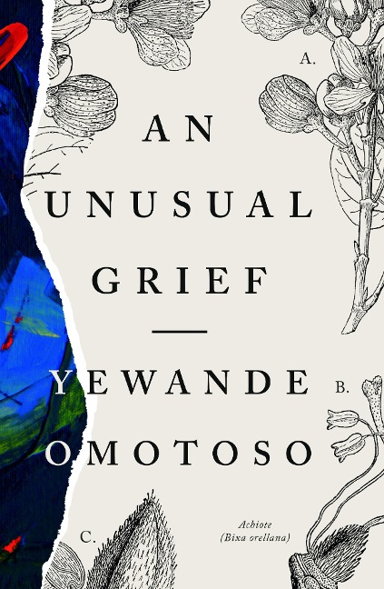 An Unusual Grief - Yewande Omotoso