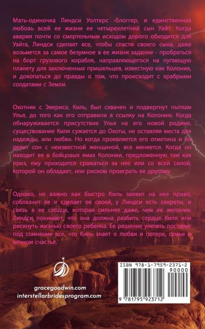 InsideView 1