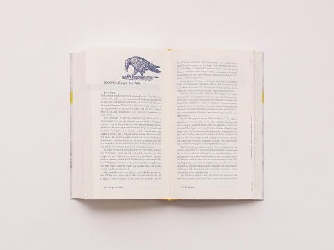InsideView 3