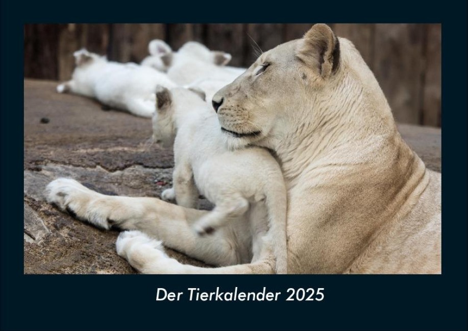 Der Tierkalender 2025 Fotokalender DIN A4 - Tobias Becker