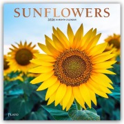 Sunflowers - Sonnenblumen 2026 - 16-Monatskalender - Browntrout Publishers