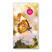 Cover-Bild zum Titel 'TRÖTSCH - Taschenterminer Schmetterling 2027' von ''