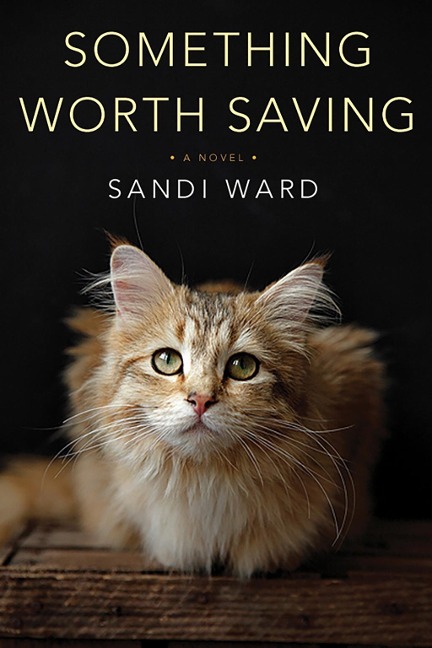 Something Worth Saving - Sandi Ward