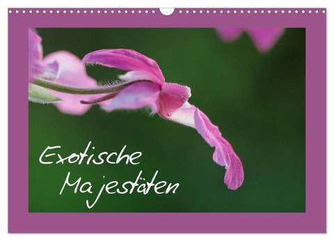 Exotische Majestäten (Wandkalender 2024 DIN A3 quer), CALVENDO Monatskalender - Clemens Stenner