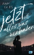 Cover-Bild zum Titel 'Jetzt ist alles, was wir haben' von 'Amy Giles'