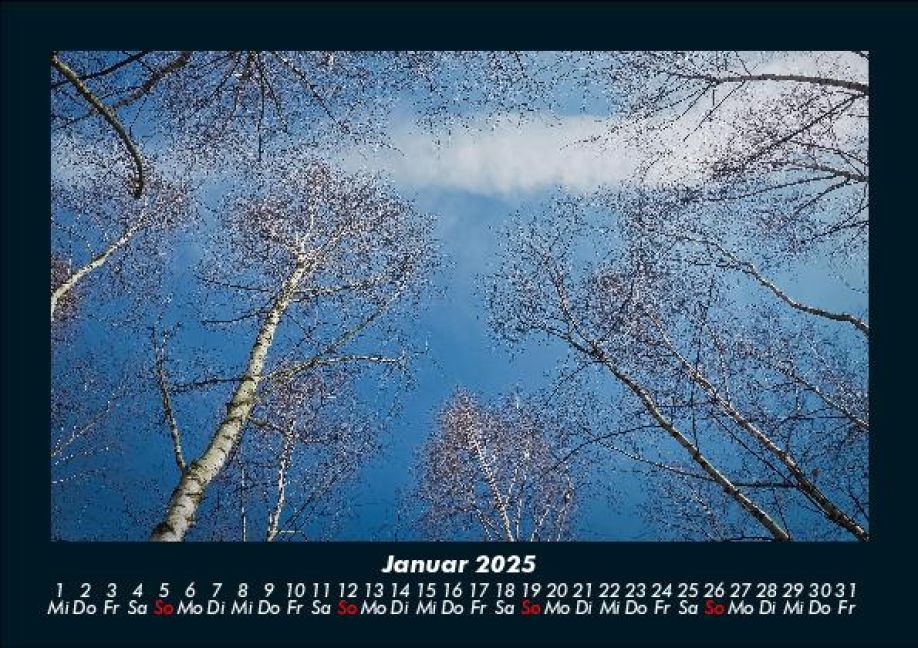 InsideView 5