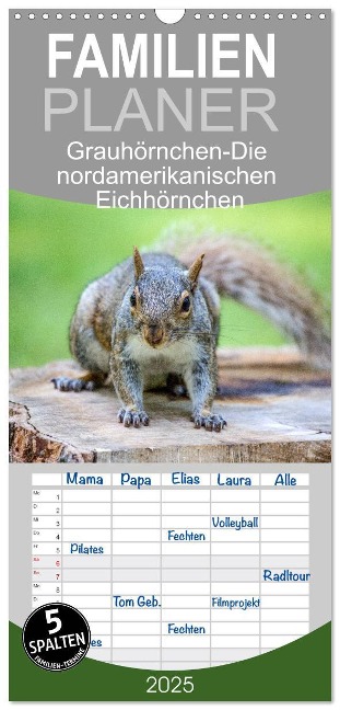 Familienplaner 2025 - Grauhörnchen-Die nordamerikanischen Eichhörnchen mit 5 Spalten (Wandkalender, 21 x 45 cm) CALVENDO - Sell@Fotolia pixs:sell@Adobe Stock