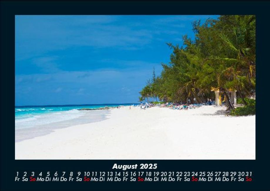 InsideView 12