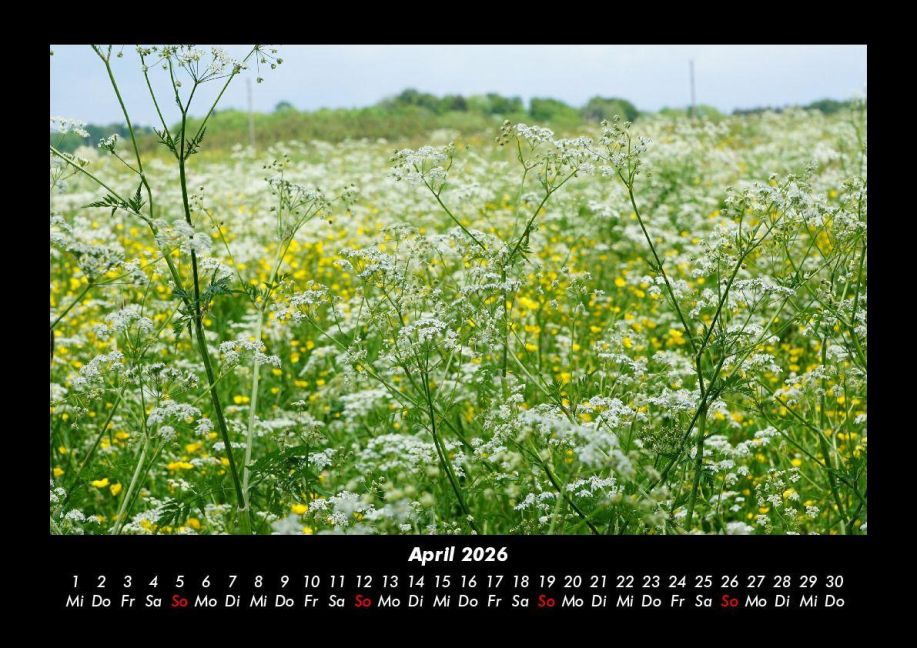 InsideView 8