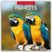 Parrots - Papageien 2026 - 16-Monatskalender - Robin Red