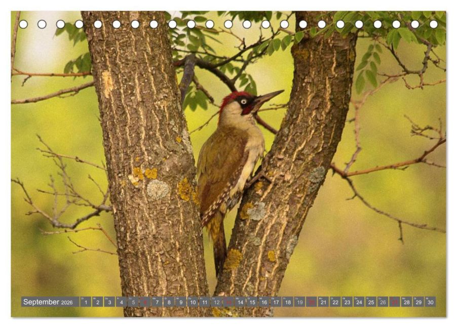 InsideView 14