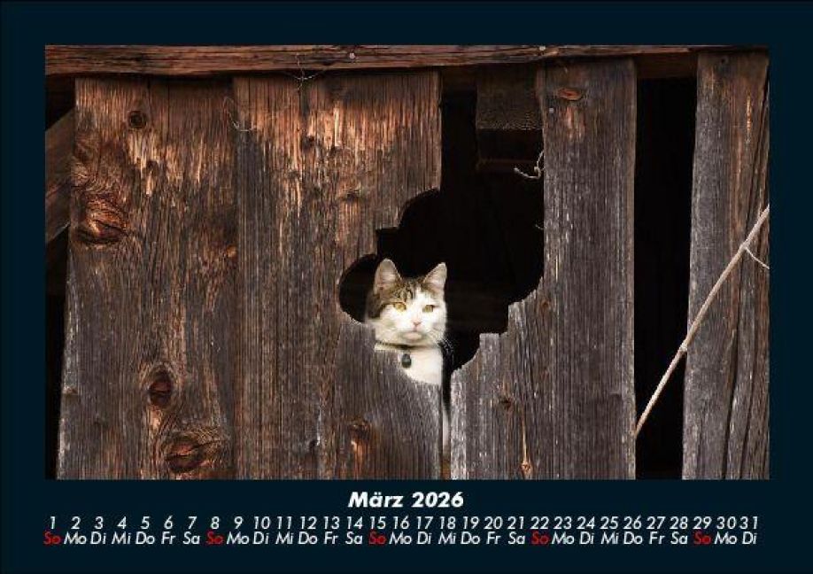InsideView 7