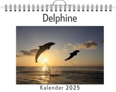 Cover-Bild zum Titel 'Delphine' von 'Ava Weber'