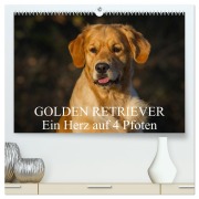 Cover-Bild zum Titel 'Golden Retriever - Ein Herz auf 4 Pfoten (hochwertiger Premium Wandkalender 2026 DIN A2 quer), Kunstdruck in Hochglanz' von 'Sigrid Starick'