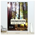 Redwoods - Faszination Mammutbäume (hochwertiger Premium Wandkalender 2024 DIN A2 hoch), Kunstdruck in Hochglanz - Isabel Bürschgens
