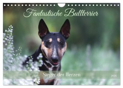 Cover-Bild zum Titel 'Fantastische Bullterrier - Sieger im Herzen (Wandkalender 2026 DIN A4 quer), CALVENDO Monatskalender' von 'Yvonne Janetzek'