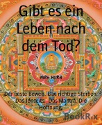 Cover-Bild zum Titel 'Gibt es ein Leben nach dem Tod?' von 'Nils Horn'