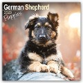 German Shepherd Puppies - Deutsche Schäferhund Welpen 2025 - 16-Monatskalender - Avonside Publishing Ltd