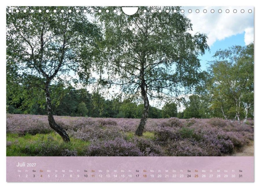 InsideView 12