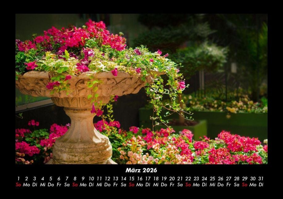 InsideView 7