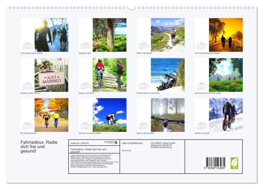 InsideView 4