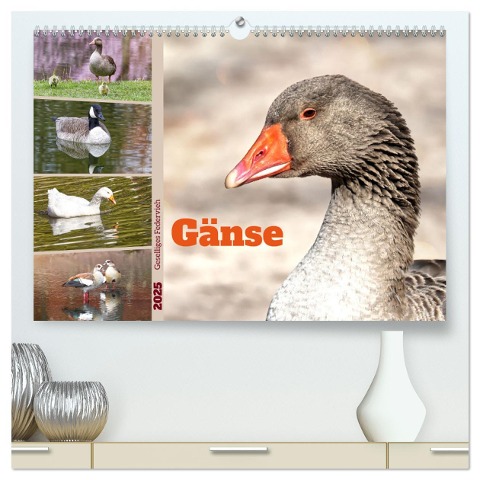 Gänse, geselliges Federvieh (hochwertiger Premium Wandkalender 2025 DIN A2 quer), Kunstdruck in Hochglanz - Sabine Löwer