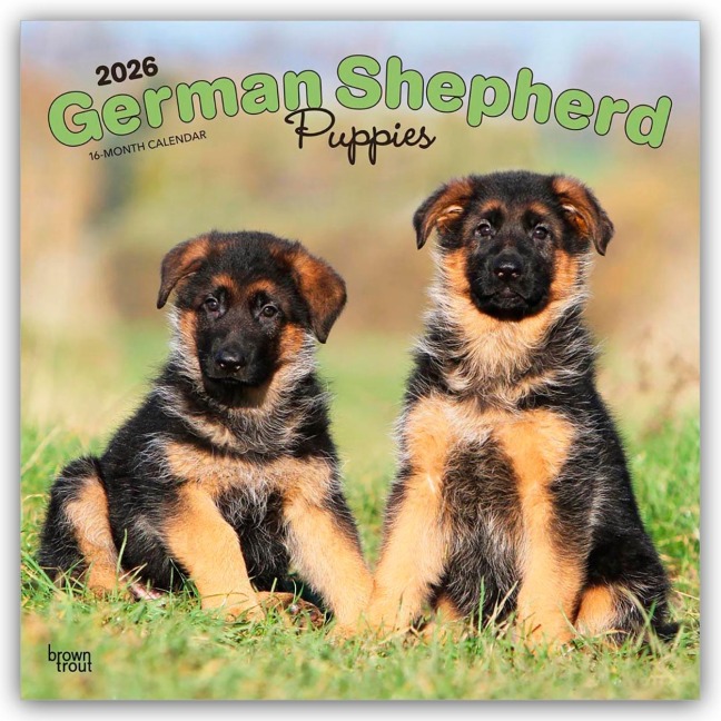 German Shepherd Puppies - Deutsche Schäferhund Welpen 2026 - 16-Monatskalender - Browntrout Publishers