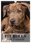 Pit Bulls und Freunde (Wandkalender 2025 DIN A4 hoch), CALVENDO Monatskalender - Elisabeth Stanzer