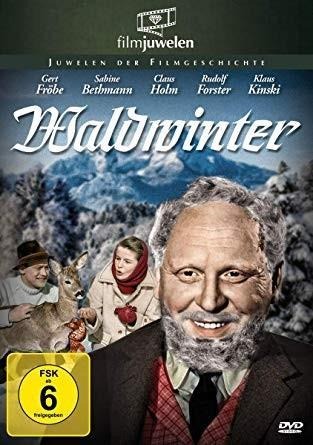 Waldwinter. DVD - 