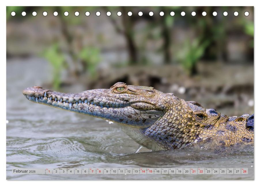 InsideView 7