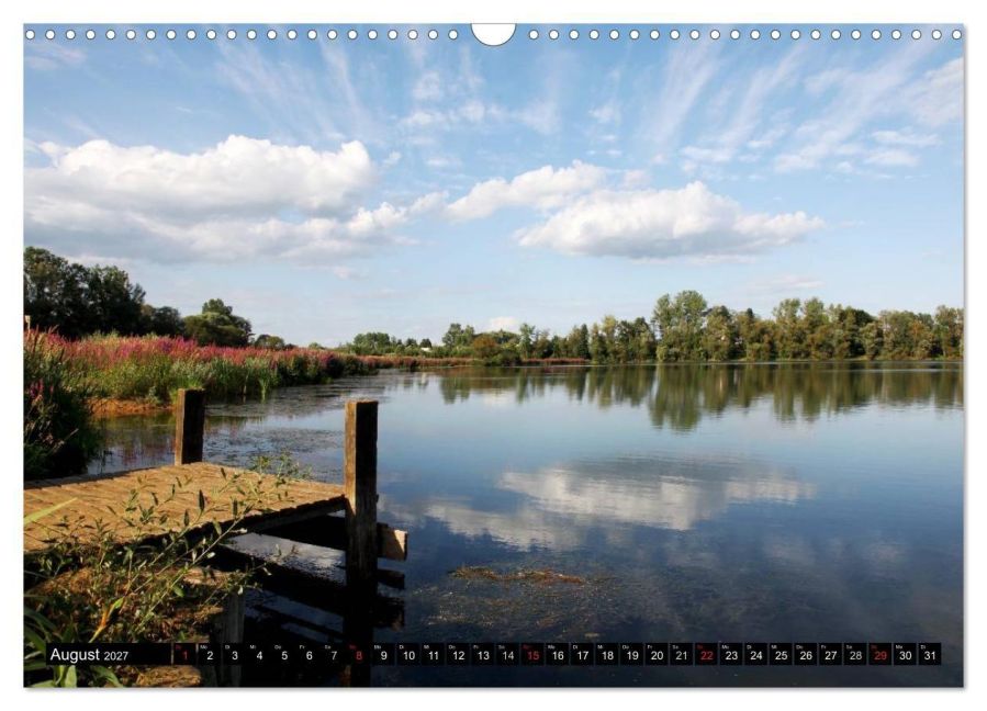 InsideView 13