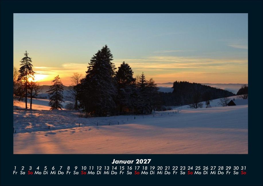 InsideView 5