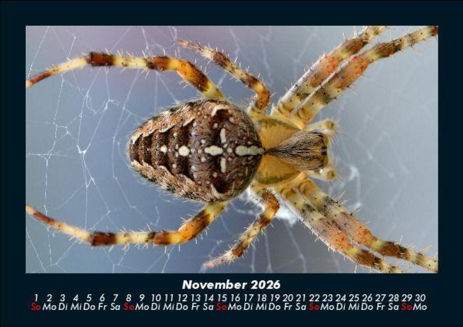 InsideView 3