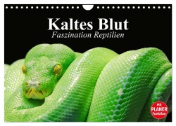 Cover-Bild zum Titel 'Kaltes Blut. Faszination Reptilien (Wandkalender 2026 DIN A4 quer), CALVENDO Monatskalender' von 'Elisabeth Stanzer'