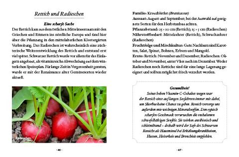 InsideView 6