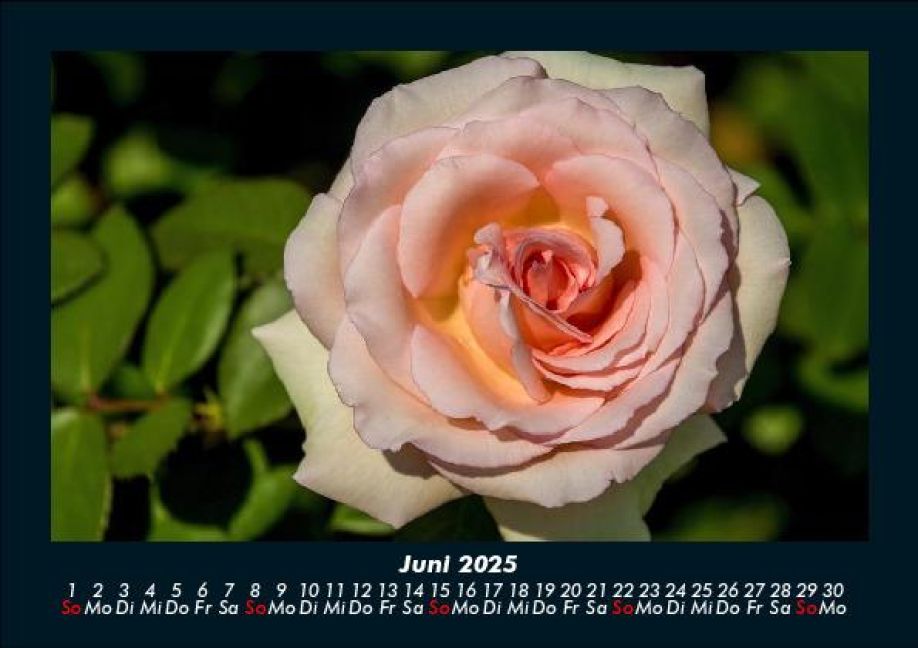 InsideView 10