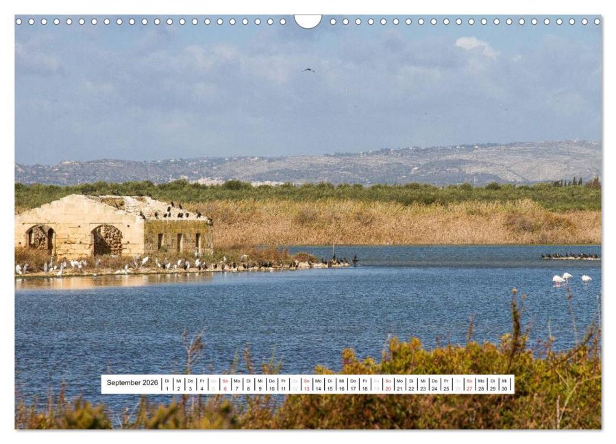 InsideView 14