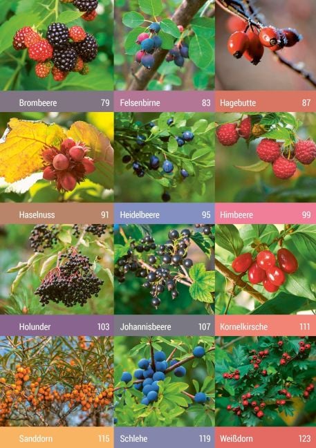 InsideView 4