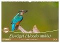 Eisvögel (Alcedo atthis) - Edelsteine der Natur (Wandkalender 2024 DIN A2 quer), CALVENDO Monatskalender - Ursula Di Chito