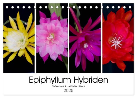 Epiphyllum-Hybriden (Tischkalender 2025 DIN A5 quer), CALVENDO Monatskalender - Steffen Latniak Gierok