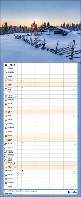 InsideView 12