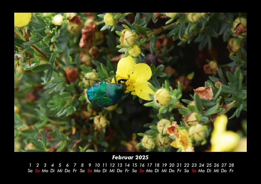 InsideView 6