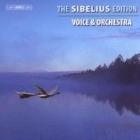 Sibelius-Edition vol. 3:Werke f.Gesang u.Orchester - Järvi/Juntunen/Häggander