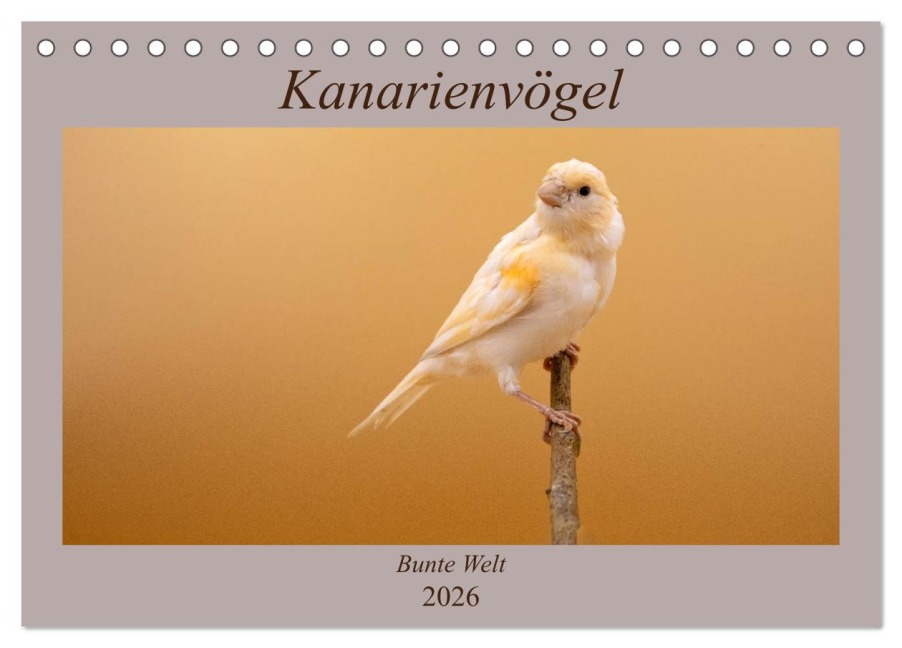 Kanarienvögel - Bunte Welt (Tischkalender 2026 DIN A5 quer), CALVENDO Monatskalender - Akrema-Photography Akrema-Photography