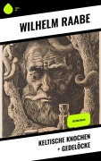 Cover-Bild zum Titel 'Keltische Knochen + Gedelöcke' von 'Wilhelm Raabe'