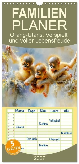 Familienplaner 2027 - Orang-Utans. Verspielt und voller Lebensfreude mit 5 Spalten (Wandkalender, 21 x 45 cm) CALVENDO - Rose Hurley