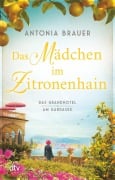 Cover-Bild zum Titel 'Das Mädchen im Zitronenhain' von 'Antonia Brauer'