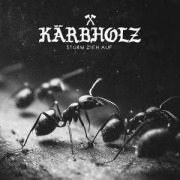 Cover-Bild zum Titel 'Sturm zieh auf (Digipak)' von 'Kärbholz'